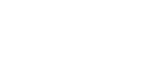 Odin Landing Logo